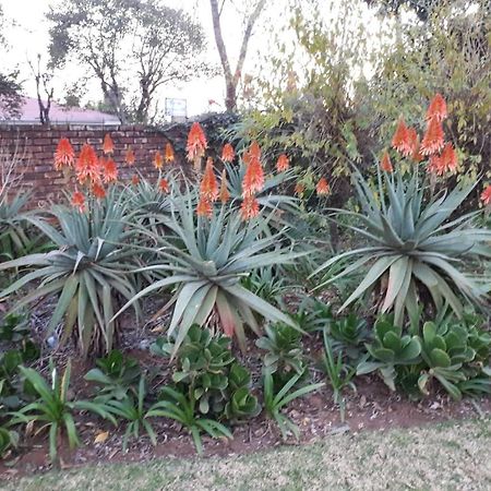 The Greendoor Guesthouse Piet Retief Exterior foto